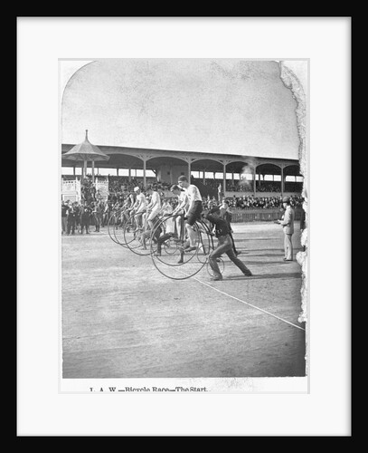 Starting Line of a Penny-farthing Bicycle Race by Anonymous
