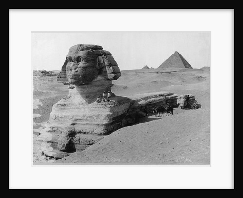 The Great Sphinx in the Desert by Anonymous