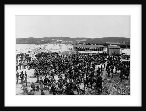 Rough Riders Returning from Spanish-American War by Anonymous