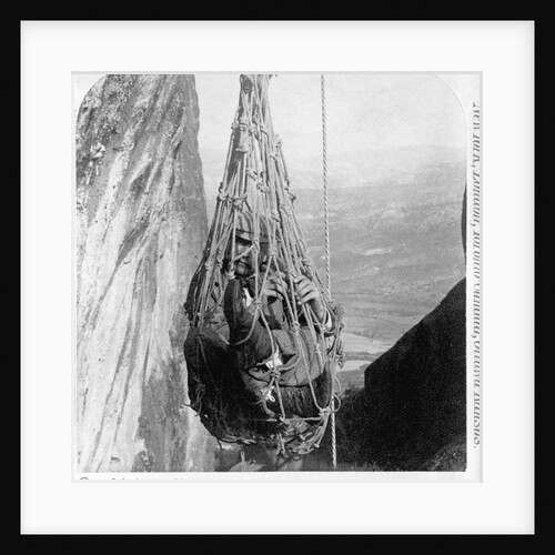 Being Pulled to Barlaam by Anonymous