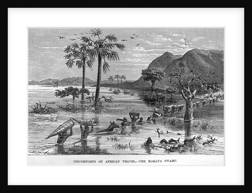 Stanley Crossing Swamp by Anonymous