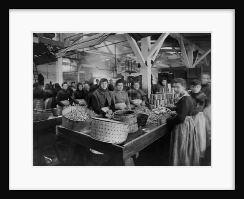 Women Canning Oysters by Anonymous
