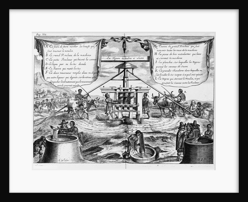 Engraving Sugar Manufacture in the Antilles Islands by Anonymous