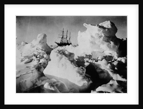 Ernest Shackleton's Ship Endurance Trapped in Ice by Anonymous