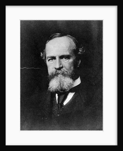Philosopher William James by Anonymous