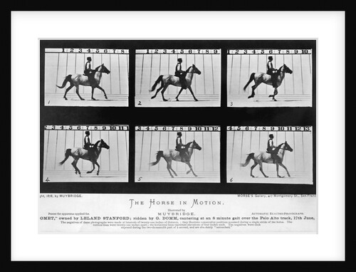 THe Horse In Motion Illustrated In Maybridge by Anonymous
