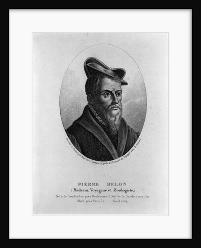 Pierre Belon by Anonymous
