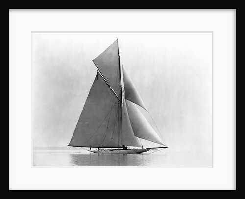 Yacht Reliance at Full Sail by Anonymous