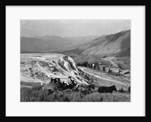 Stagecoach at Mammoth Hot Springs by Anonymous