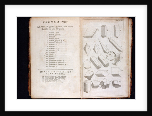 Systema Naturae. 1756 by Anonymous