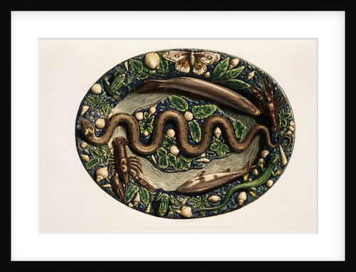 Monographie de l'oeuvre de Bernard Palissy by Anonymous