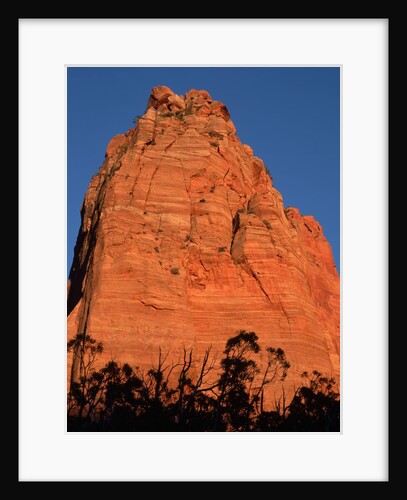 Sandstone Butte in Zion National Park by Anonymous