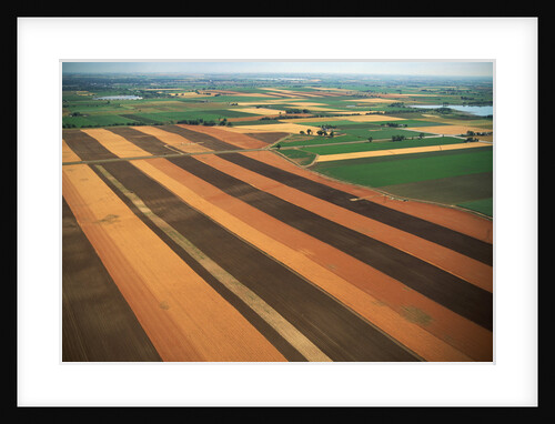 Wheat Fields by Anonymous