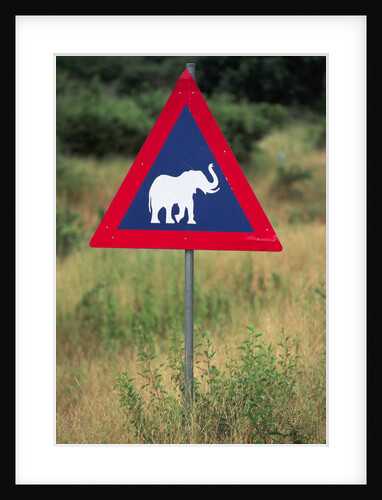 Elephant Crossing Sign by Anonymous