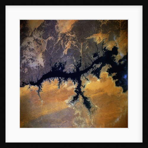 Nile River and Aswan Dam by Anonymous