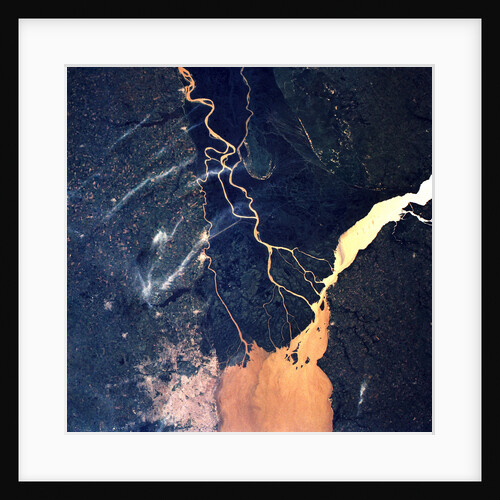 Parana River Delta, Argentina by Anonymous