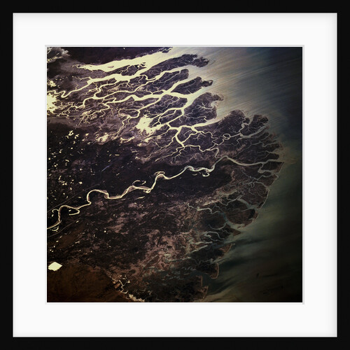 Indus River Delta by Anonymous