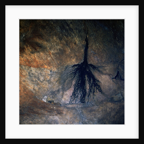 Okavango Delta and Swamp by Anonymous
