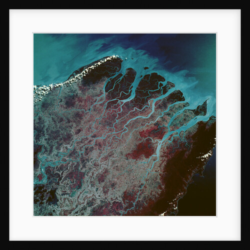Low-Earth-Orbit View of the Irrawaddy River by Anonymous