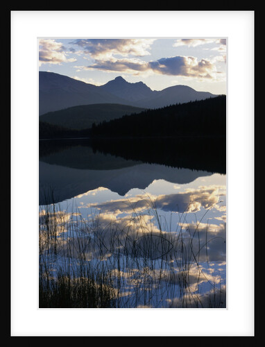 Sky and Clouds Reflecting In Patricia Lake by Anonymous