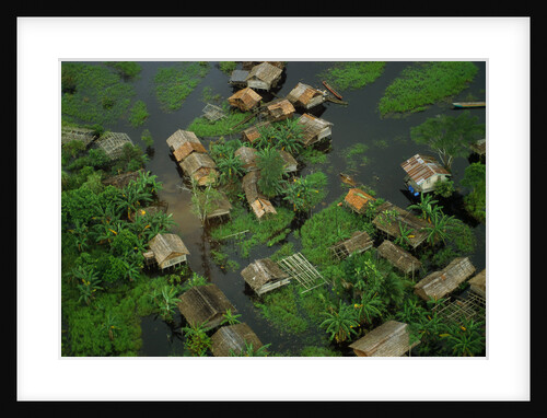 Arial View of Rainforest Village by Anonymous