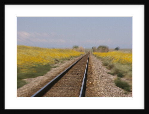 Railroad Tracks by Anonymous