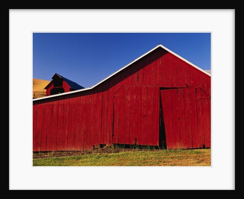 Red Barns by Anonymous