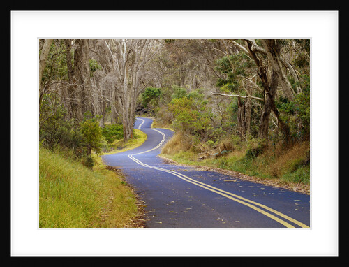 Road Through Volcanoes National Park by Anonymous