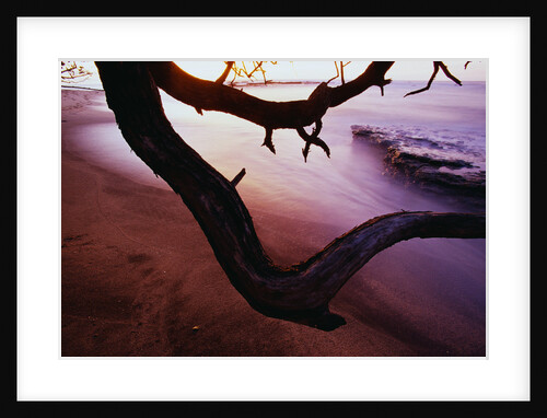 Ocean Sunset from Beach by Anonymous