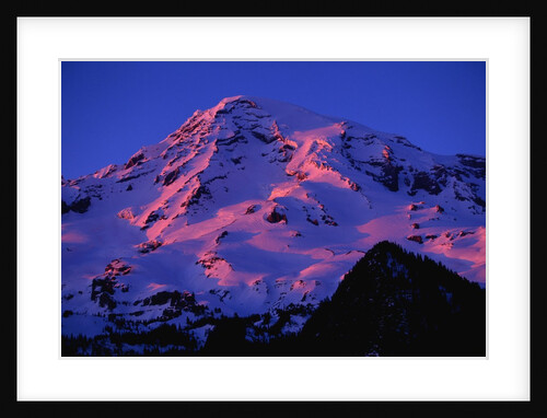 Sunset Alpenglow on Mount Rainier by Anonymous