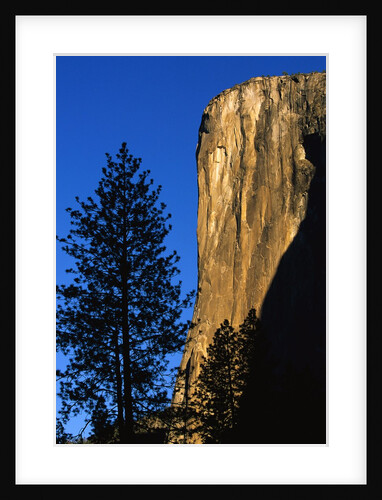 Sunlight Shining on El Capitan by Anonymous