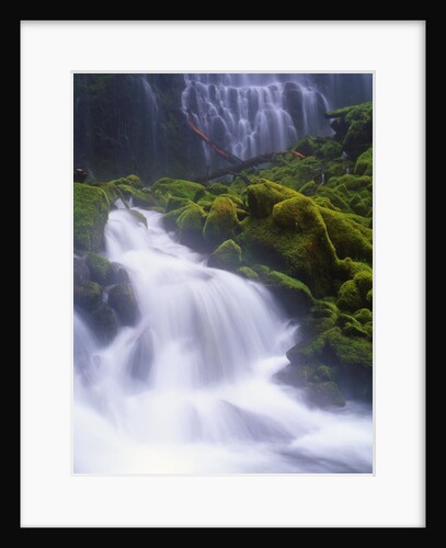 Mossy Rocks at Proxy Falls by Anonymous