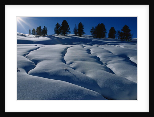 Hillside Covered in Snow by Anonymous