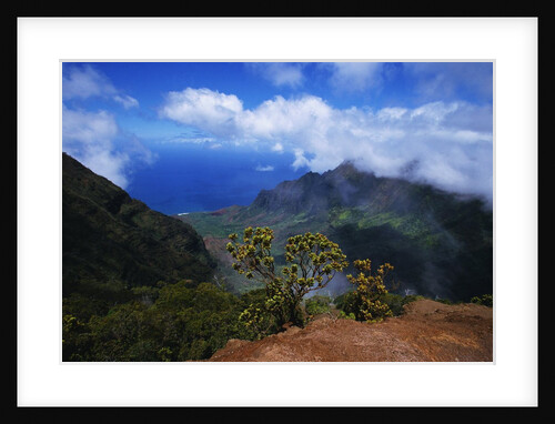 Hills Along the Napali Coast by Anonymous