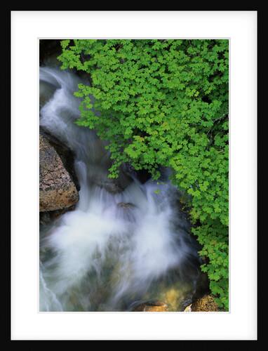 Top View of Rushing Waterfall by Anonymous