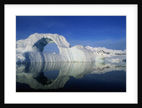 Dorian Bay Iceberg by Anonymous