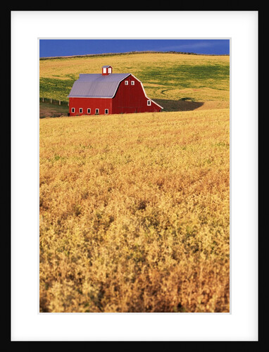 Red Barn on Rolling Hills by Anonymous