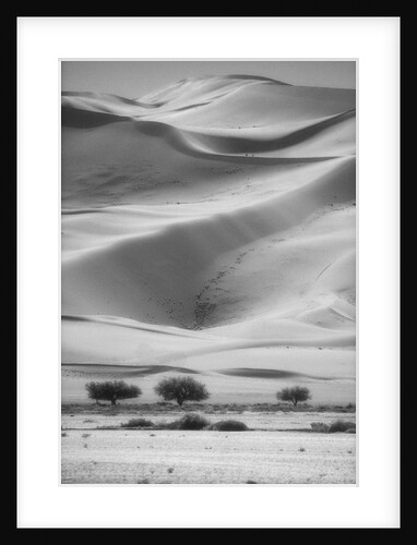 Sossusvlei Sand Dunes by Anonymous