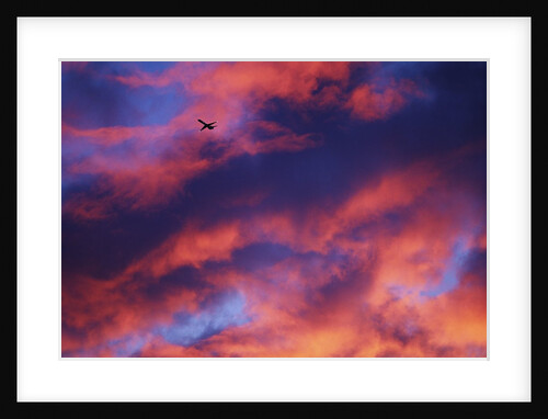 Jet Among Clouds at Sunset by Anonymous