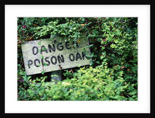 Poison Oak Warning Sign by Anonymous
