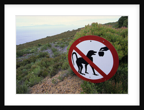 Sign Reminding Not to Feed the Baboons by Anonymous