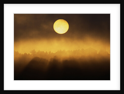 Sunrise Through Fog by Anonymous