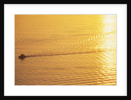Yacht on Elliott Bay at Sunset by Anonymous