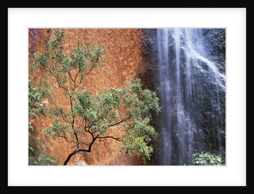 Ayers Rock Waterfall by Anonymous