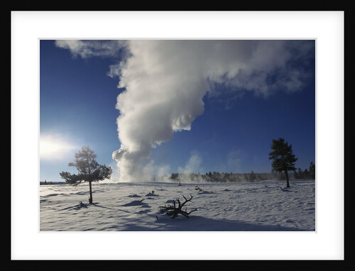 Old Faithful Geyser Erupting in Winter by Anonymous