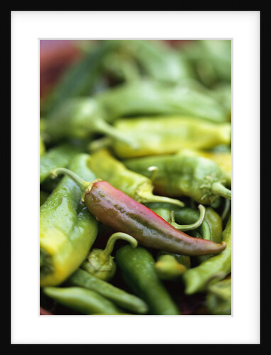 Chili Peppers at Market by Anonymous
