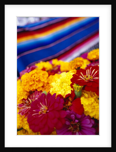 Blooming Flowers at a Farmers Market by Anonymous
