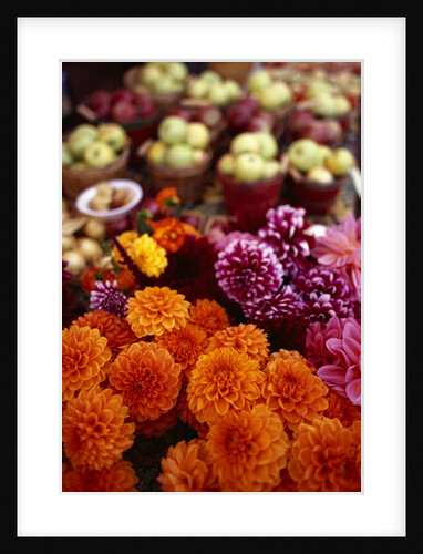 Blooming Flowers at a Farmers Market by Anonymous