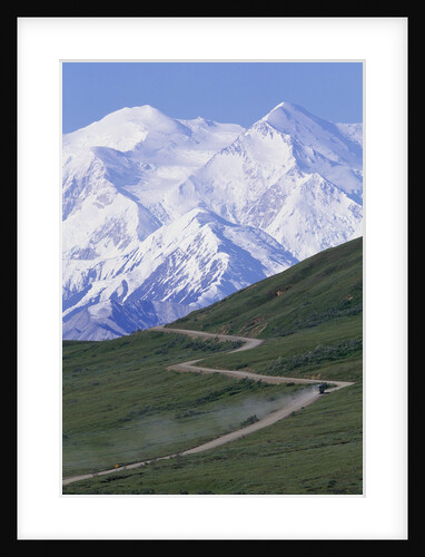 Road in Thorofare Pass Below Mt. McKinley by Anonymous