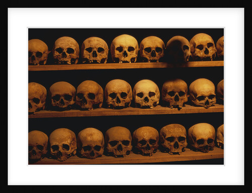 Shelves of Monk Skulls at Great Meteoron Ossuary by Anonymous